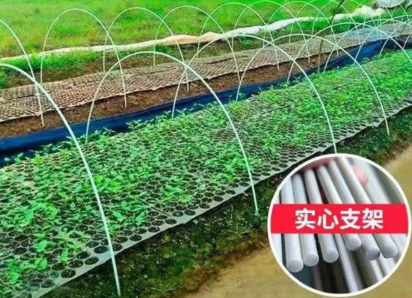 Thanh nhựa gia cố sợi 10 mm Thanh sợi thủy tinh linh hoạt để trồng nhà xanh
