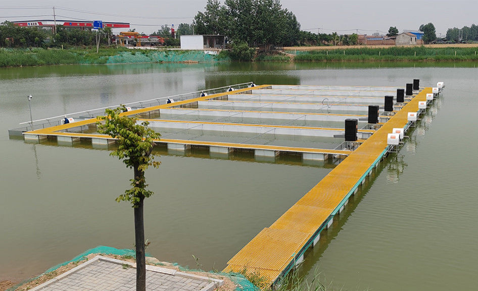 Đào FRP kích thước tùy chỉnh để xây dựng thang an toàn và nền tảng lối đi