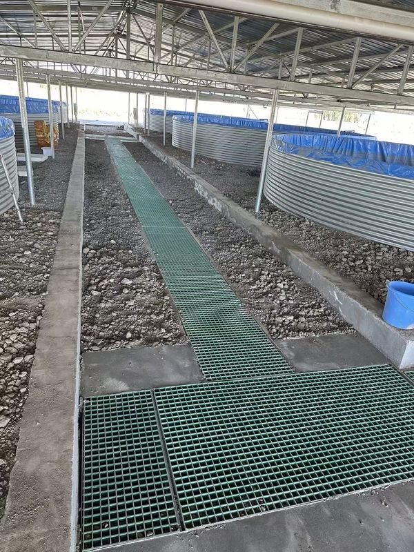 Fish Farm FRP Grating Walkway hoặc nền tảng có thể được tùy chỉnh cho kích thước và màu sắc